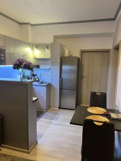 Luxusní apartmán v blízkosti centra města,Wifi, Netxlix - 1