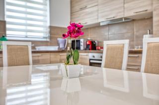 Sliema Spacious Apartment - Sliema - 7