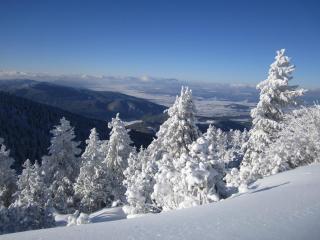TES Royal Plaza Apartments - Borovets - 3