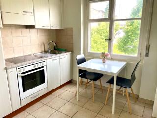 Appartement élégant & ensoleillé - Losanna - 1
