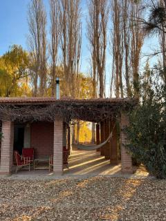 Horizonte - Barreal - 4