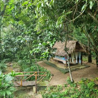 Entre Bosques Tayrona - Los Naranjos - 8