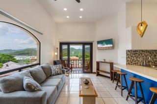 Birds-Eye Ocean View in Nicely Priced Top-Floor Unit in Flamingo - Playa Flamingo - 9