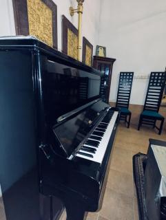 J Lake Resort Panadura - Panadura - 4