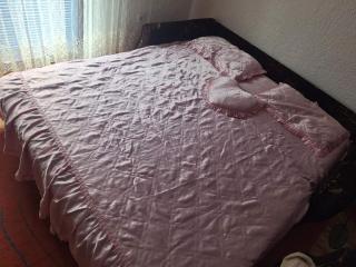 Komforan apartman u blizini centra Sarajeva - Sarajevo - 3