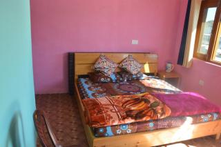 Shubham Homestay Near Ranikhet - Chaubattia - 5