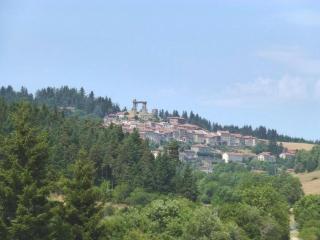 Maison calme avec grand terrain, proche commodités et sites médiévaux - FR-1-582-133 - Allègre - 8