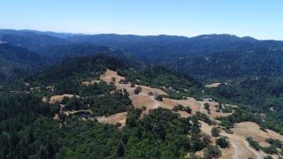 Forest Villa with Breathtaking Views In West Sonoma - Cazadero - 4