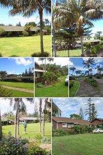 Norfolk Island Town Holiday Apartments - Burnt Pine - 5