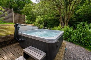 Lavender Lodge 1BR with Hot Tub and Sauna near Black Mountain - Garnant - 3