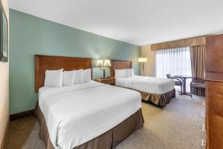 Best Western Plus Atrium Inn - Schertz - 9