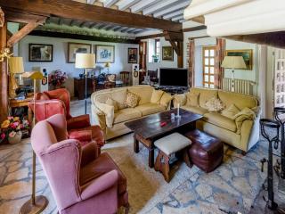 Castle in le Veurdre near Route Compostella, cleaning included - Le Veurdre - 2