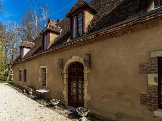 Castle in le Veurdre near Route Compostella, cleaning included - Le Veurdre - 5