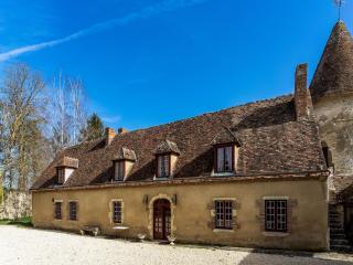 Castle in le Veurdre near Route Compostella, cleaning included - Le Veurdre - 3