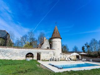 Castle in le Veurdre near Route Compostella, cleaning included - Le Veurdre - 4