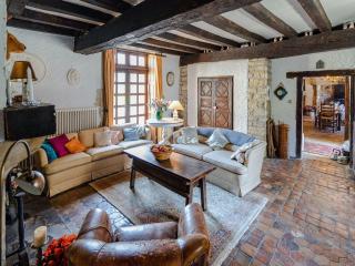Castle in le Veurdre near Route Compostella, cleaning included - Le Veurdre - 8