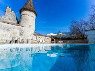 Castle in le Veurdre near Route Compostella, cleaning included - Le Veurdre - 0