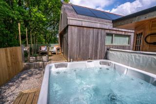 Mint Lodge 1BR with Hot Tub and Sauna near Black Mountain - Garnant - 3