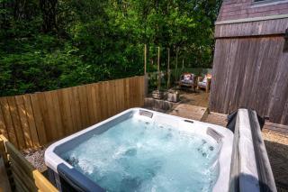 Mint Lodge 1BR with Hot Tub and Sauna near Black Mountain - Garnant - 9
