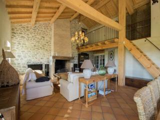 Mansion in Fargues with Pool and Garden, cleaning included - Fargues-sur-Ourbise - 0
