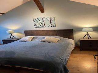 Estate in Pyrenees with Pool and Golf Nearby, cleaning included - Buzon - 0