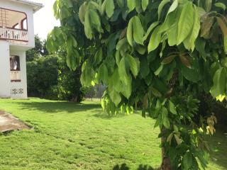 Mango Escape - Gros Islet - 1