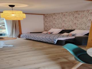 Apartment in Alsace near Europa-Park, cleaning included - Dambach-la-Ville - 1