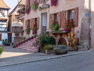 Apartment in Alsace near Europa-Park, cleaning included - Dambach-la-Ville - 4