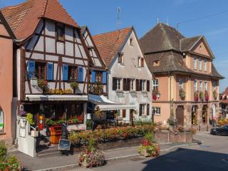 Apartment in Alsace near Europa-Park, cleaning included - Dambach-la-Ville - 9