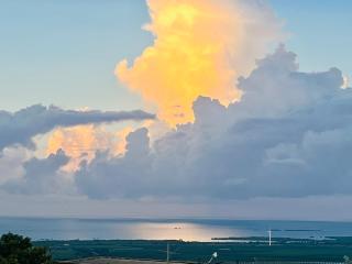 Pampagrass View - Santa Isabel - 9