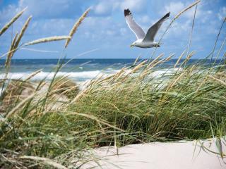 Apartment in Het Zoute near the Beach - Knokke-Heist - 2
