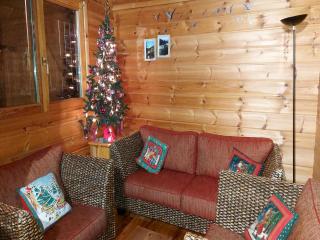 Chalet in Vosges near Ski Slopes, cleaning included - 2