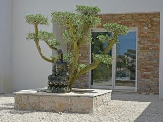Villa in Montauroux with Pool and Forest Views, cleaning included - Montauroux - 5