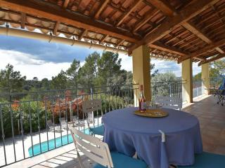 Villa in Vidauban with Private Pool, cleaning included - Vidauban - 3