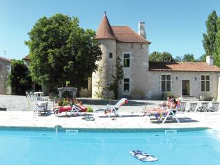Beautiful holiday home with private pool, cleaning included - Lencloître - 5