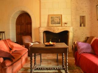 Beautiful holiday home with private pool, cleaning included - Lencloître - 1