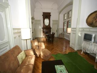 Charming Castle in Serrières-en-Chautagne, cleaning included - Serrières-en-Chautagne - 1