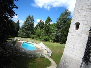 Chateau in France with Grand Colombier View, cleaning included - Serrières-en-Chautagne - 1