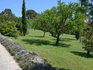 Modern villa with private pool in Cesseras, cleaning included - Cesseras - 4