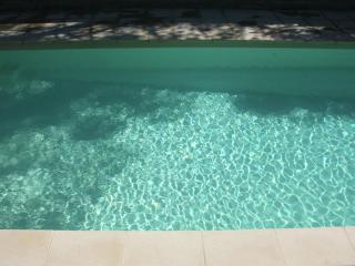 Villa in Fayence with Pool and Garden, cleaning included - 2