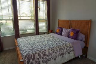 Spacious 4BR South ATX Retreat - Austin - 6