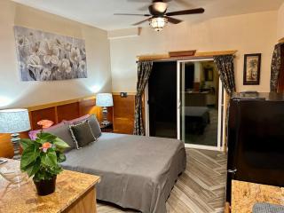 Studio Phoenix Pet Friendly Near Black Sand Beach & Volcanic Forest - Pahoa - 0