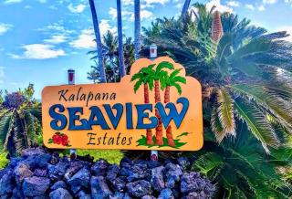 Studio Phoenix Pet Friendly Near Black Sand Beach & Volcanic Forest - Pahoa - 6