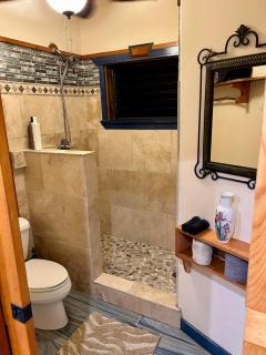 Studio Phoenix Pet Friendly Near Black Sand Beach & Volcanic Forest - Pahoa - 4