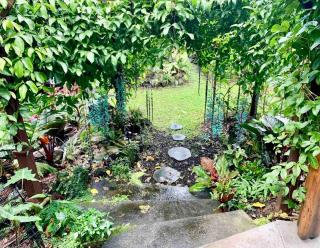 Studio Phoenix Pet Friendly Near Black Sand Beach & Volcanic Forest - Pahoa - 8