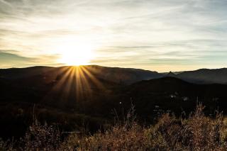 Cévennes Spirit Coeur de Forêt - 4