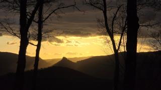 Cévennes Spirit Coeur de Forêt - 3