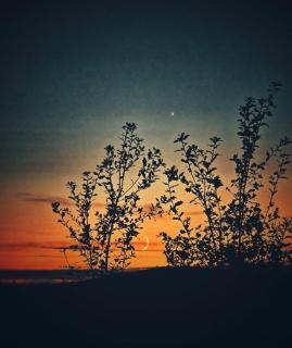 Cévennes Spirit Coeur de Forêt - 2