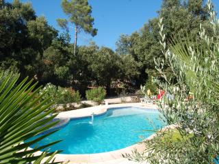 Villa in Garéoult with Private Pool, cleaning included - Garéoult - 9