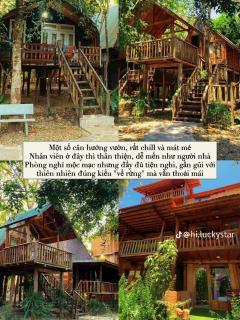 Green Bamboo Lodge Resort - Cat Tien - 1